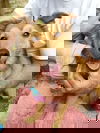 LASSIE