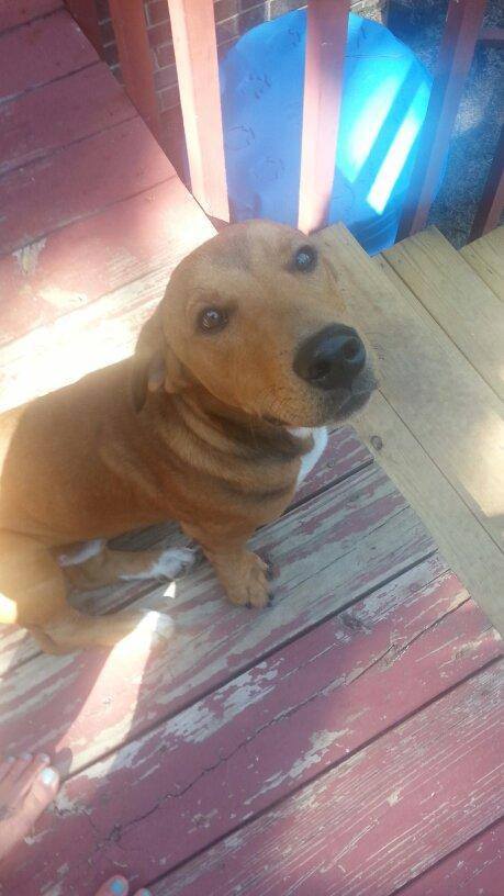 REX