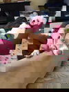 JANE