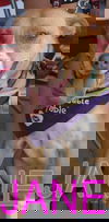 JANE