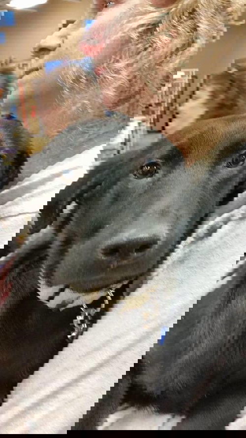 BACON