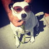 BESSIE