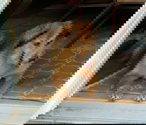 TEMPE