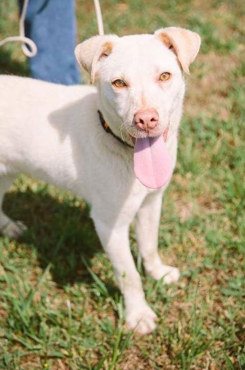 REMINGTON