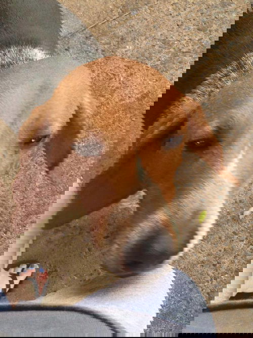 TEX