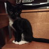 CHARLIE