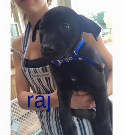 RAJ