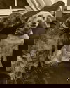 PATCHES