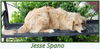 Jesse Spano