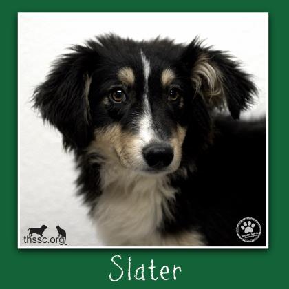 Slater