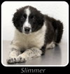 Slimmer