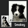 Smokey