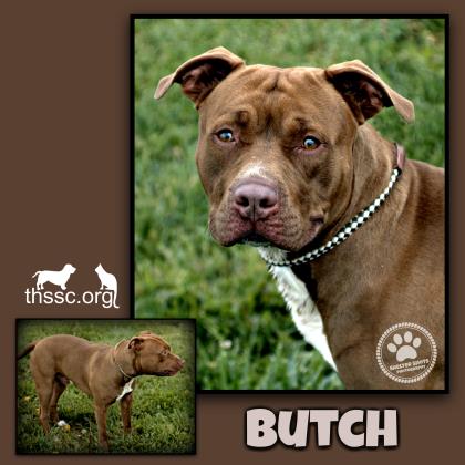 Butch