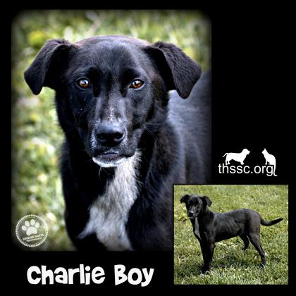 Charlie Boy