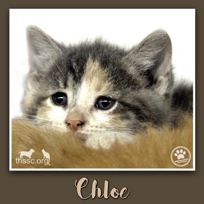 Chloe