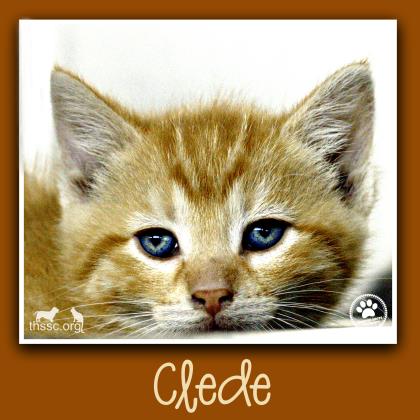 Clede