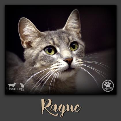 Rague