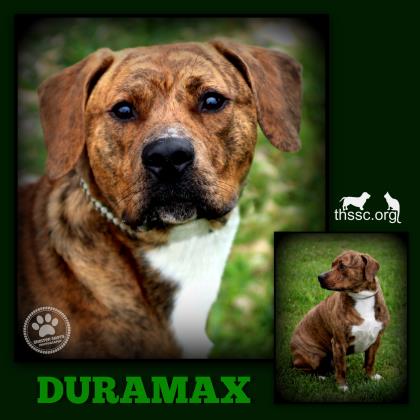 Duramax
