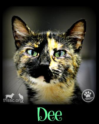 Dee