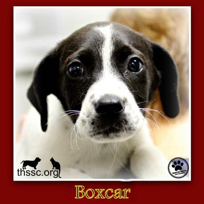 Boxcar