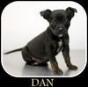 Dan