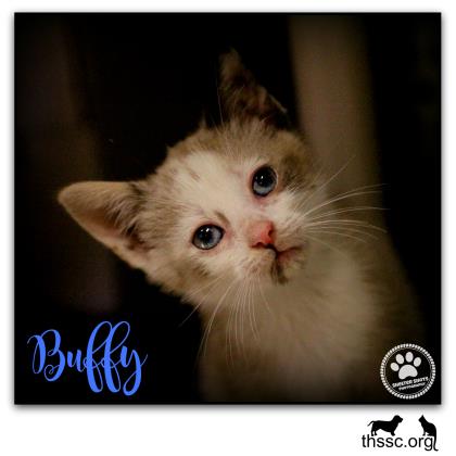 Buffy