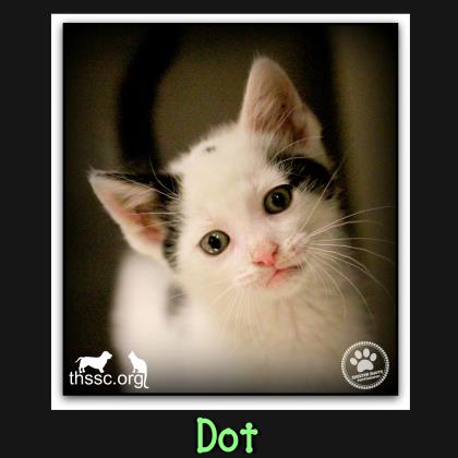 Dot