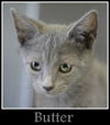 Butter