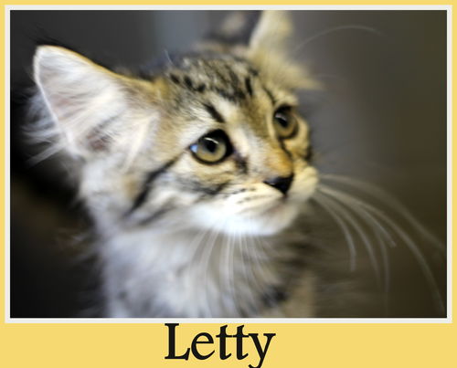 Letty