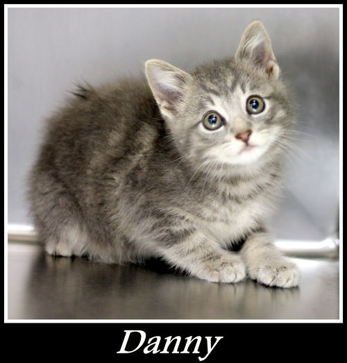 Danny