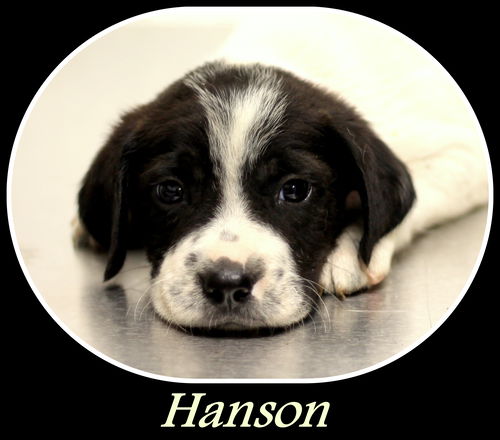 Hanson