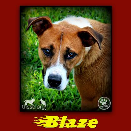 Blaze