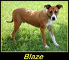 Blaze