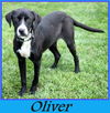 Oliver