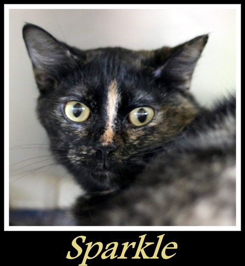 Sparkle