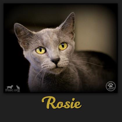 Rosie