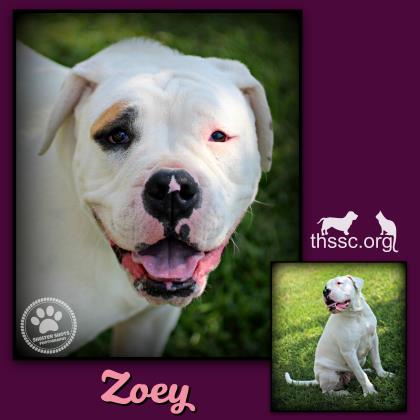 Zoey