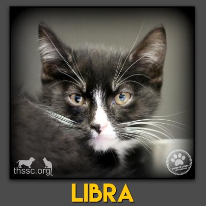 Libra