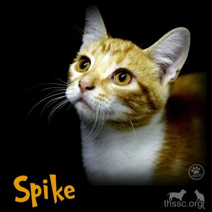 Spike
