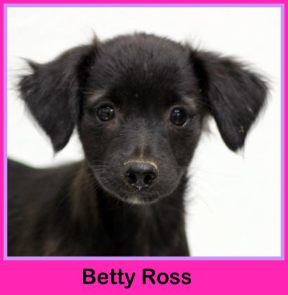 Betty Ross