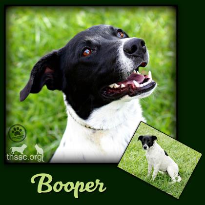 Booper