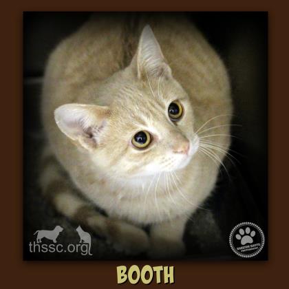 Booth