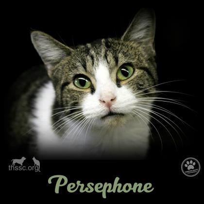 Persephone