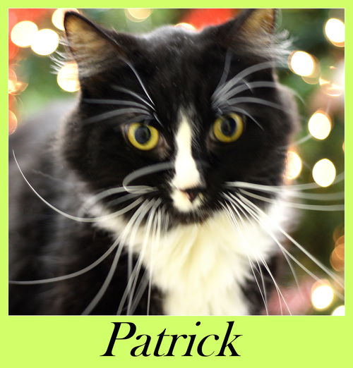 Patrick