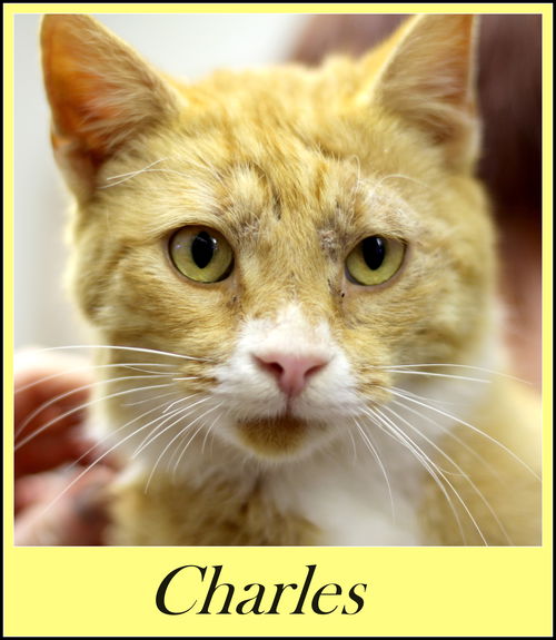 Charles