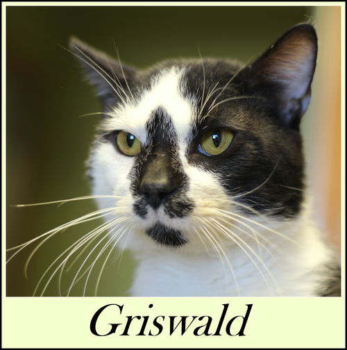 Griswald