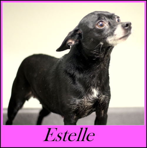 Estelle