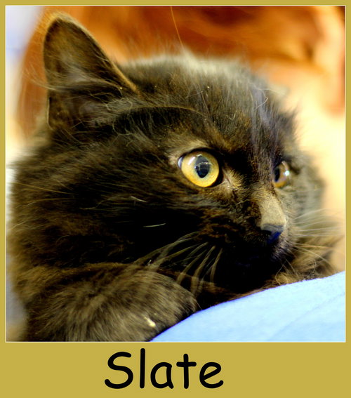Slate