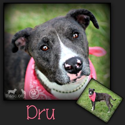 Dru