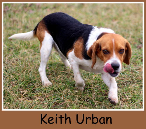 Keith Urban